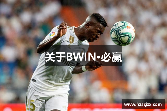 关于BWIN·必赢